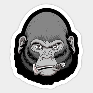 WTF GORILLA Sticker